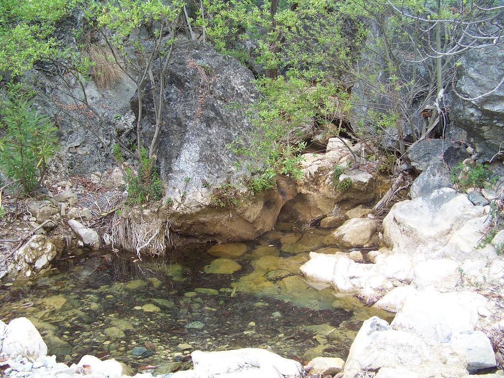 Hostal Sango Sierra De Las Nieves Alozaina المظهر الخارجي الصورة